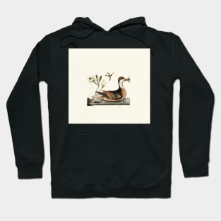 DUCK - birds, killer of bugs Hoodie